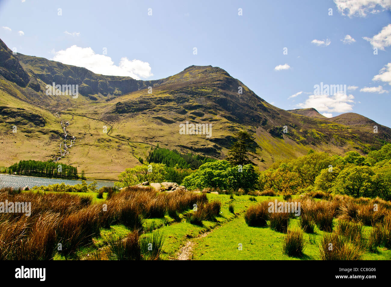 Lago Buttermere,Buttermere Fells,Fleetwith Red Pike,alto stile,alta falesia,Lake District National Trust Park,Nord Ovest Inghilterra Foto Stock