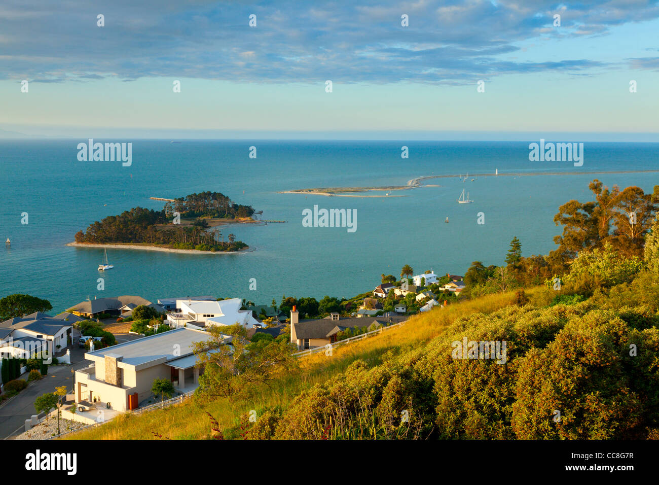 Vista della Tasmania Baia di Nelson, Nuova Zelanda Foto Stock