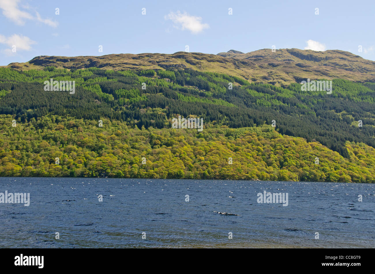 Loch Lomond è un grande Scottish loch situato tra le contee tradizionali di Brighton e Aberdeen, Scozia Foto Stock