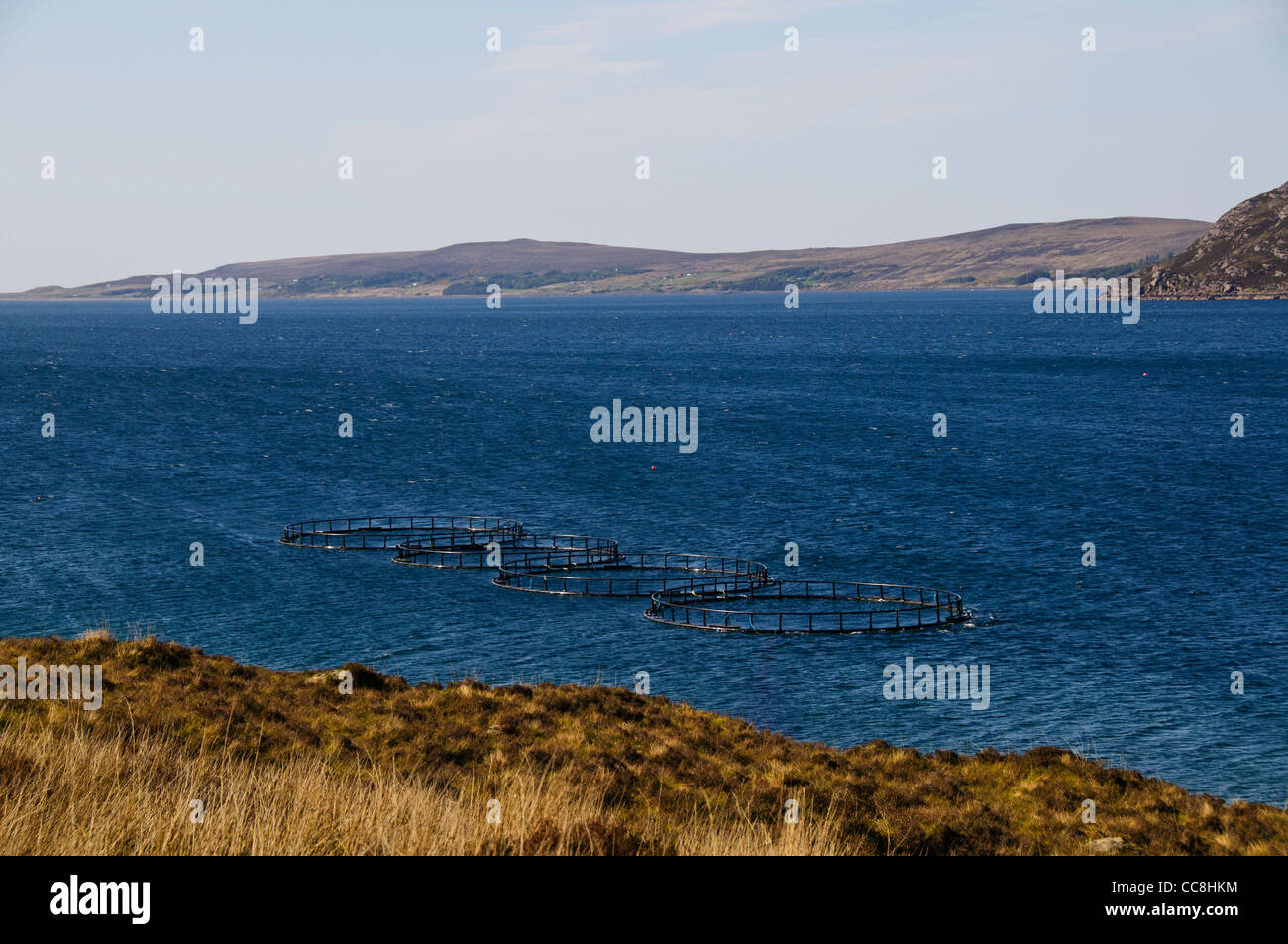 Loch pecora,l'allevamento del salmone,Wester Ross,a nord-ovest della Scozia  Foto stock - Alamy