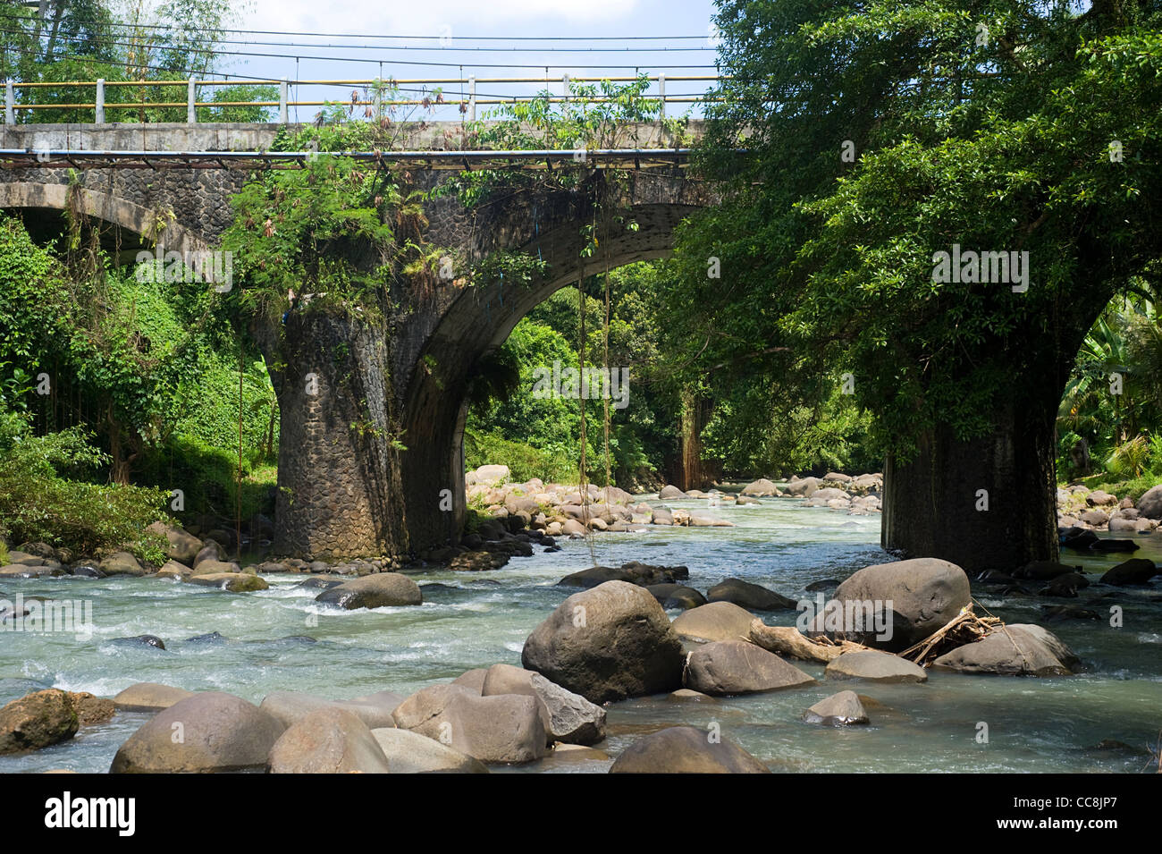 Ponte che attraversa il fiume di montagna su isola di Bali, Indonesia Foto Stock
