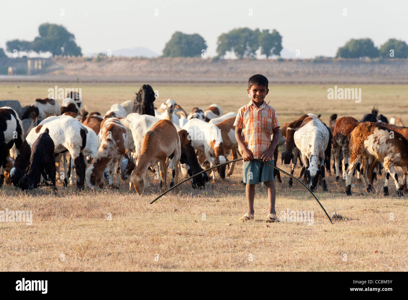 Casta inferiore ragazzo indiano. Figlio di un indiano capra imbrancandosi famiglia in piedi di fronte a La Mandria. Andhra Pradesh, India Foto Stock Casta inferiore ragazzo indiano. Figlio di un indiano capra imbrancandosi famiglia in piedi di fronte a La Mandria. Andhra Pradesh, India Foto Stock