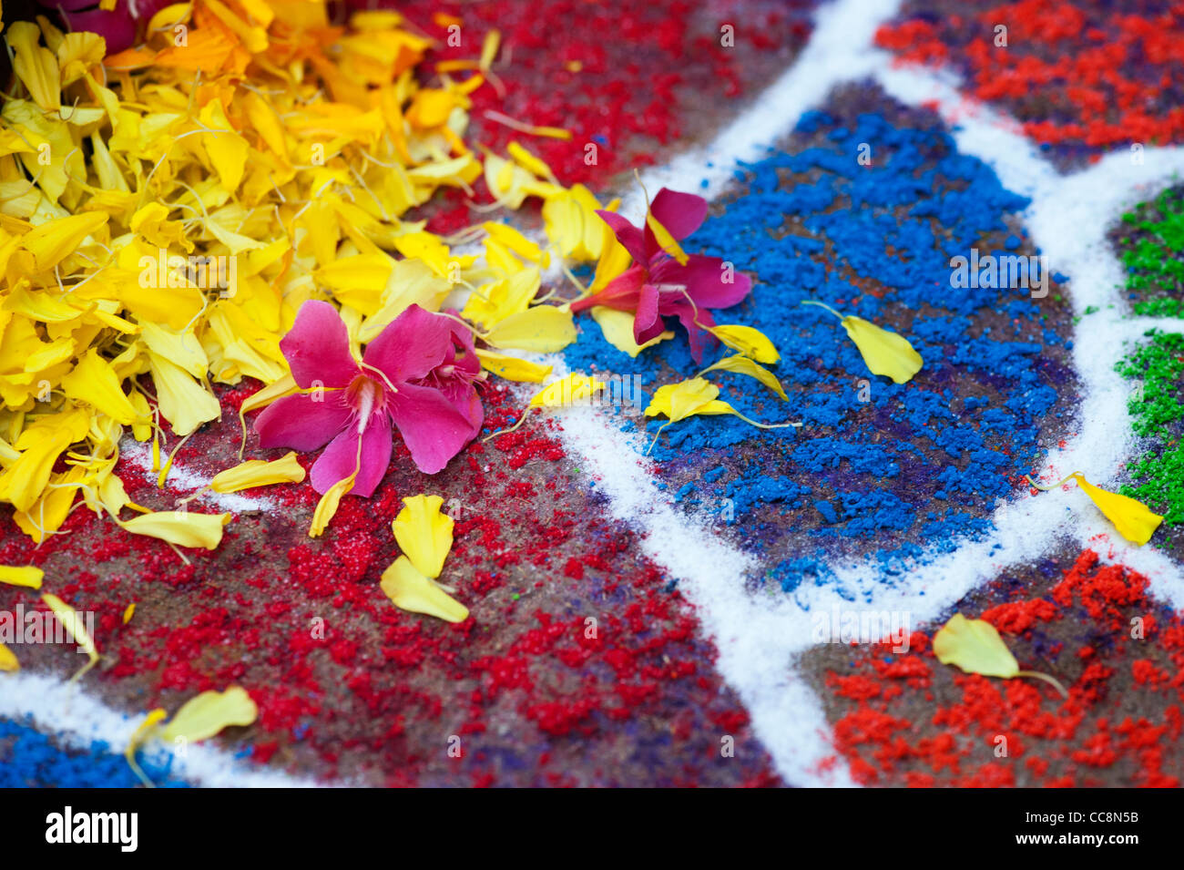 Rangoli festival di polvere colorata design e petali di fiori in un Indiano street. Andhra Pradesh, India Foto Stock