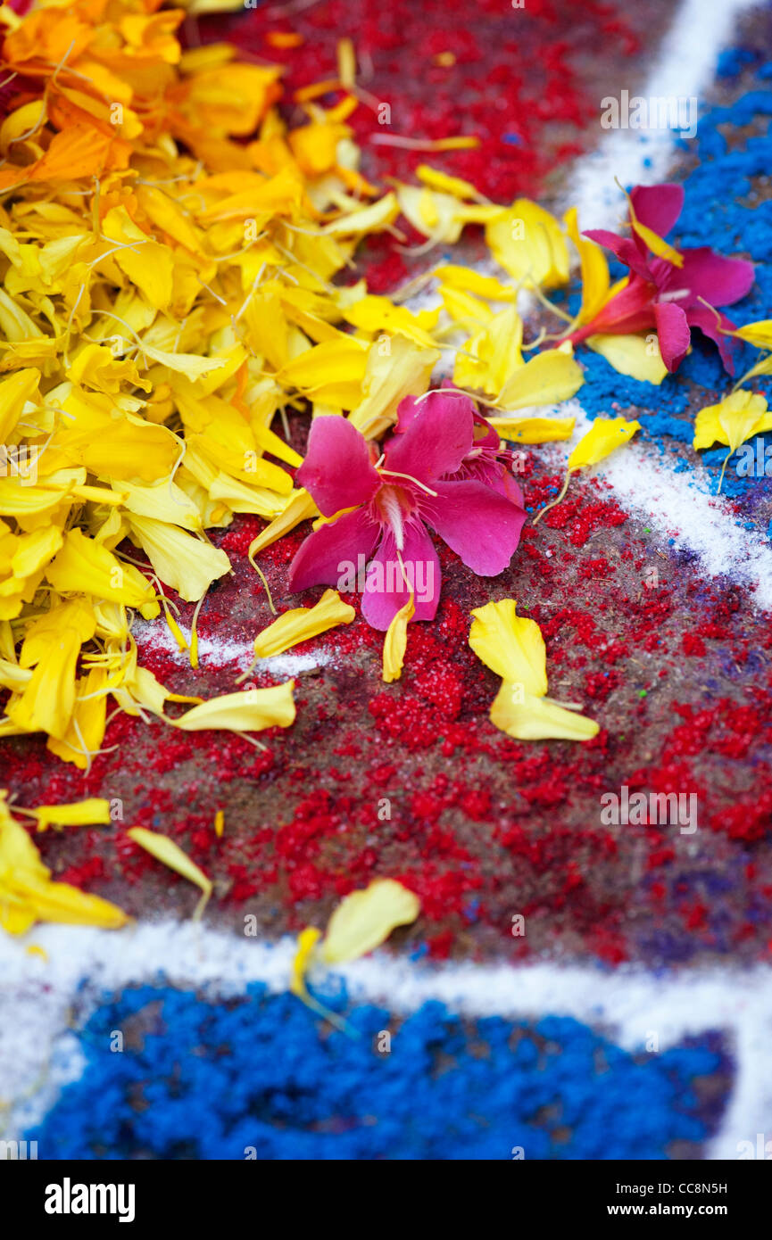 Rangoli festival di polvere colorata design e petali di fiori in un Indiano street. Andhra Pradesh, India Foto Stock