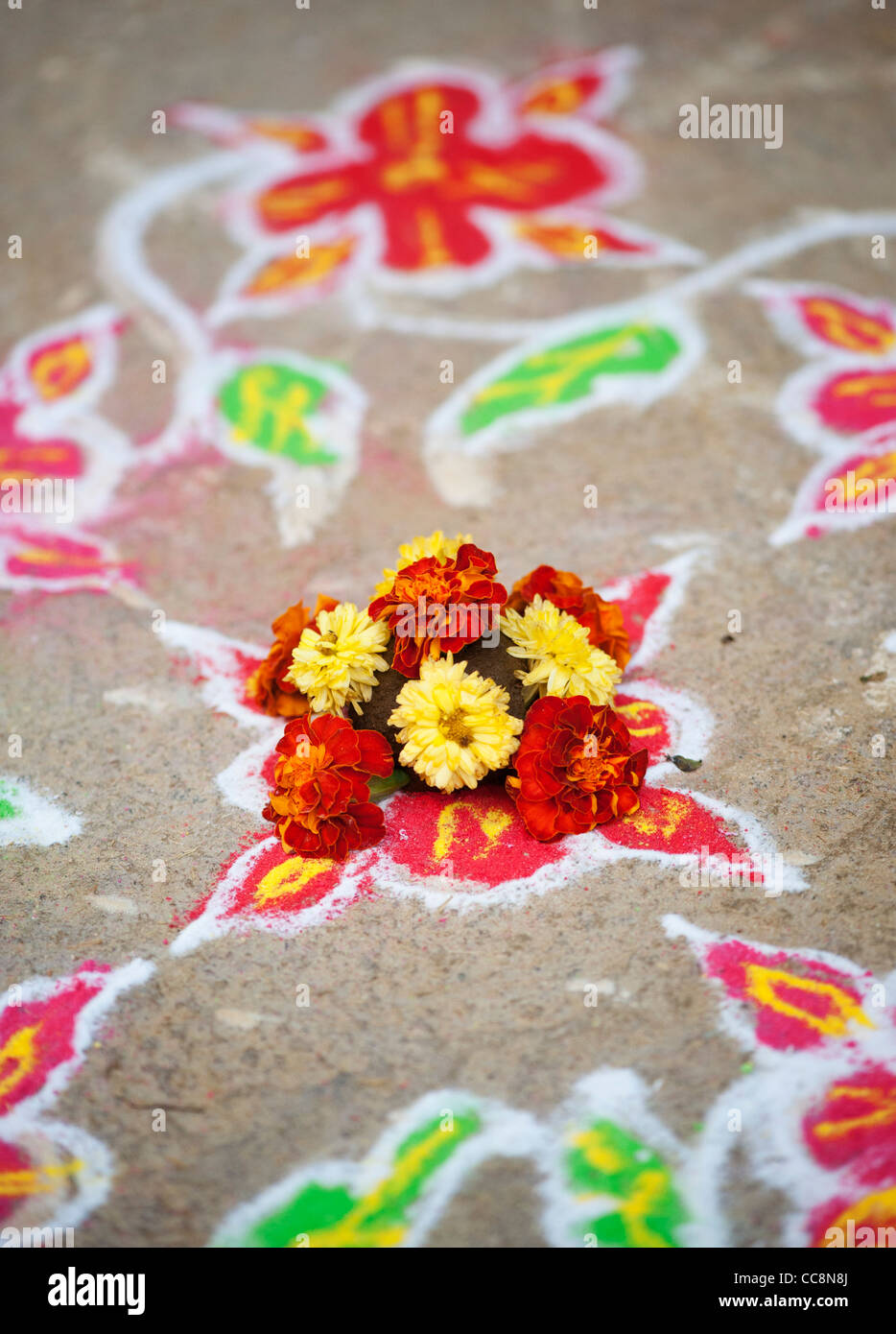 Rangoli festival di polvere colorata design e petali di fiori in un Indiano street. Andhra Pradesh, India Foto Stock