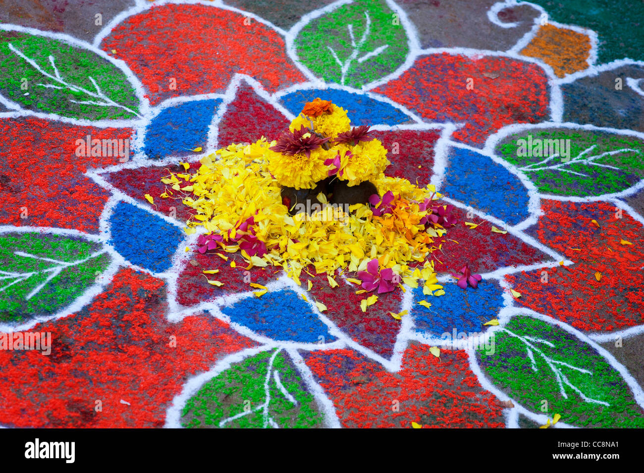 Rangoli festival di polvere colorata design e petali di fiori in un Indiano street. Andhra Pradesh, India Foto Stock
