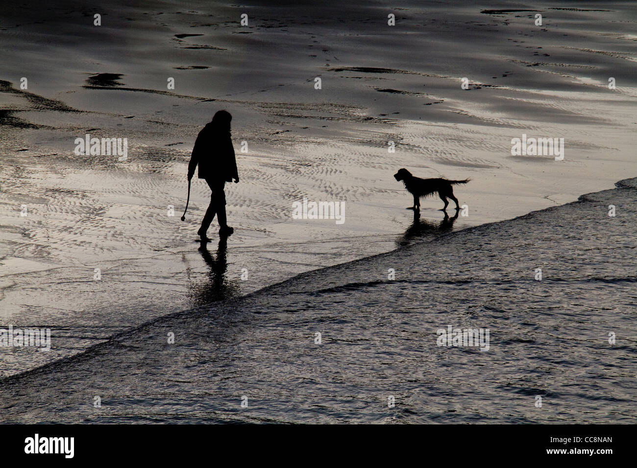 Uomo che cammina cane sulla spiaggia bagnata in silhouette. Foto Stock