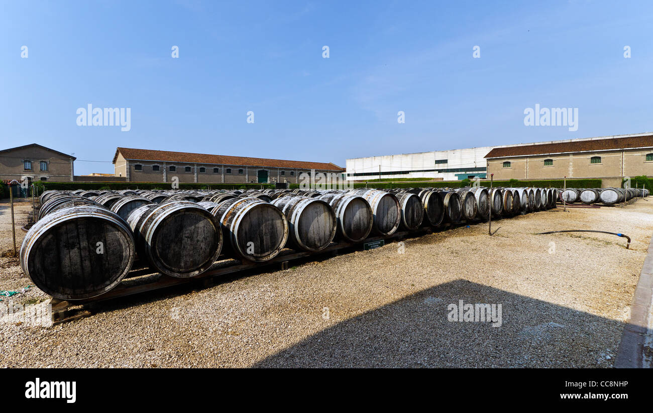 Botti da vino con vermouth Foto Stock