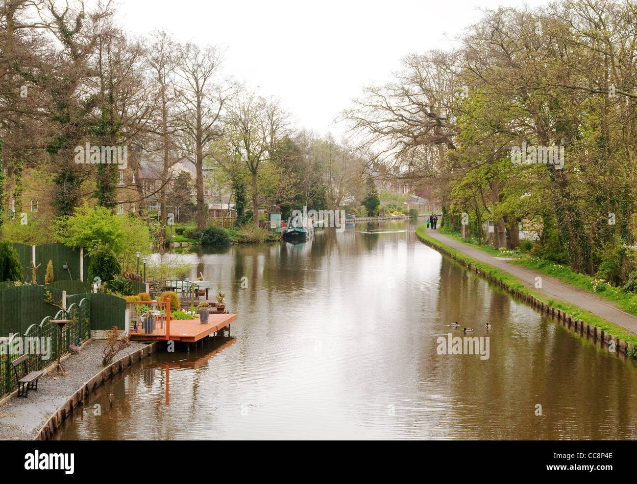 Lancaster Canal a Bilsborrow, vicino a Preston, Lancashire Foto Stock