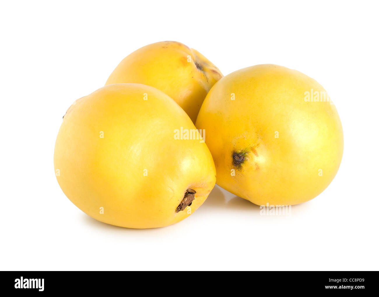 Tre mele cotogne isolato su uno sfondo bianco Foto Stock