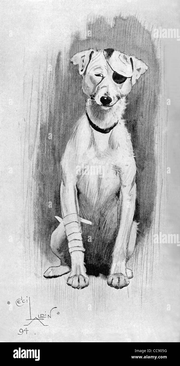 Questo cane con un occhio-patch e bendato gamba, è stato fatto da Cecil Aldin nel 1894, per la rivista di Windsor, Volume I, 1895. Foto Stock
