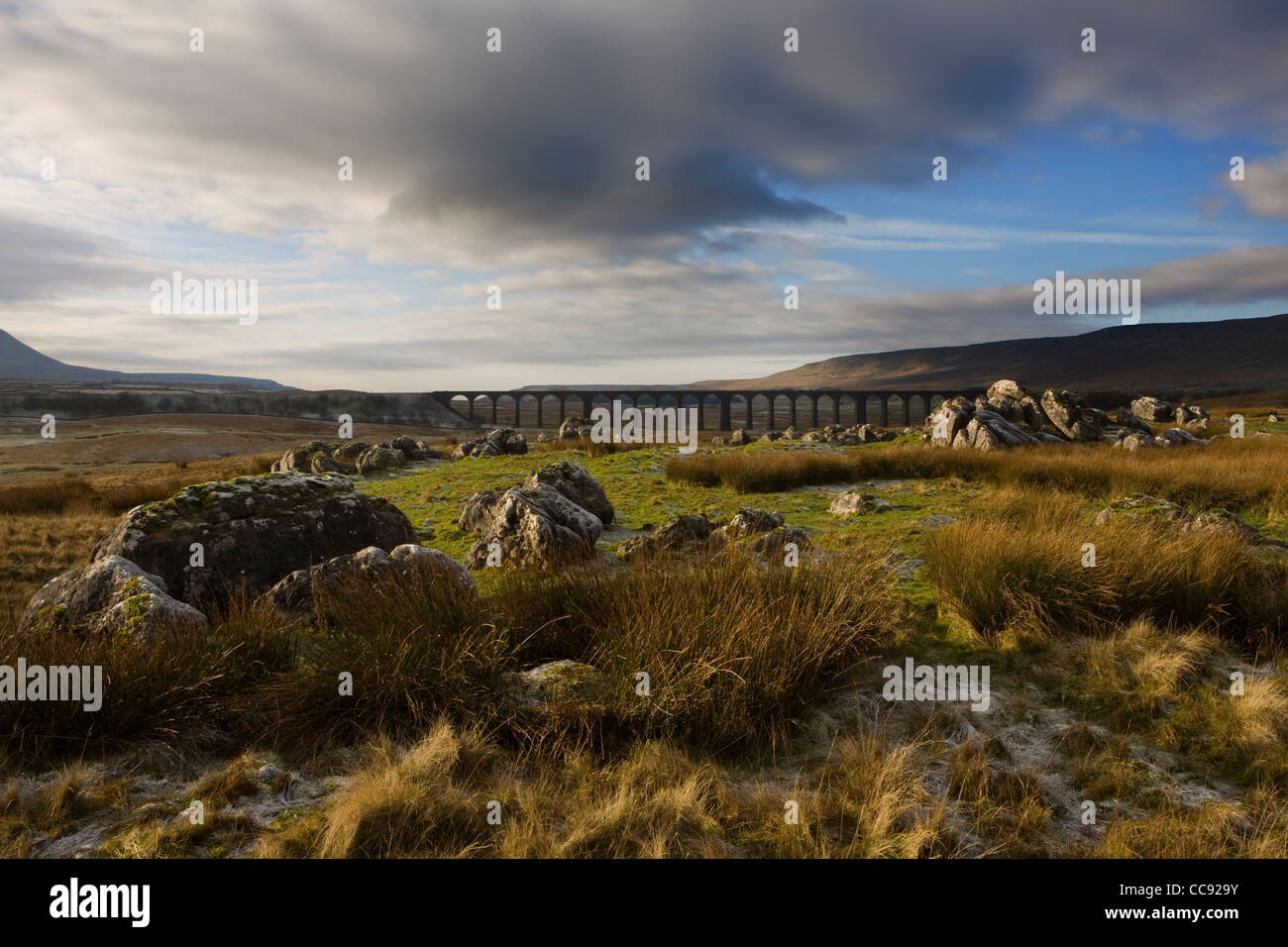 Paesaggio calcareo della brughiera del Ribblehead Viaduct sul fiume Ribble nel North Yorkshire, Regno Unito Foto Stock