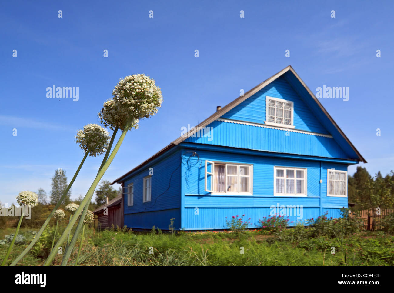 Blu casa rurale su sfondo celeste Foto Stock