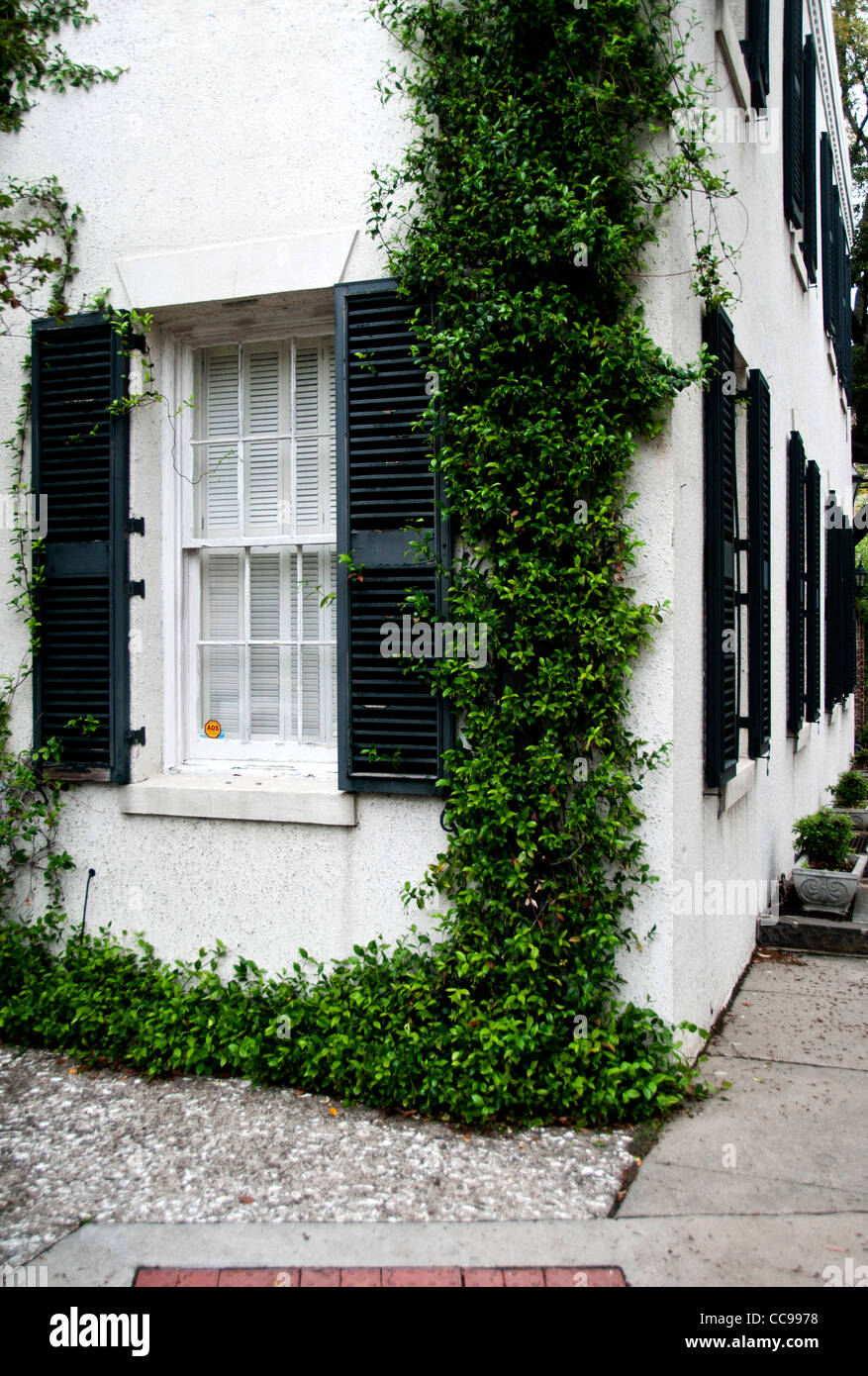 Strada tranquilla a Savannah il quartiere storico di Georgia USA Foto Stock