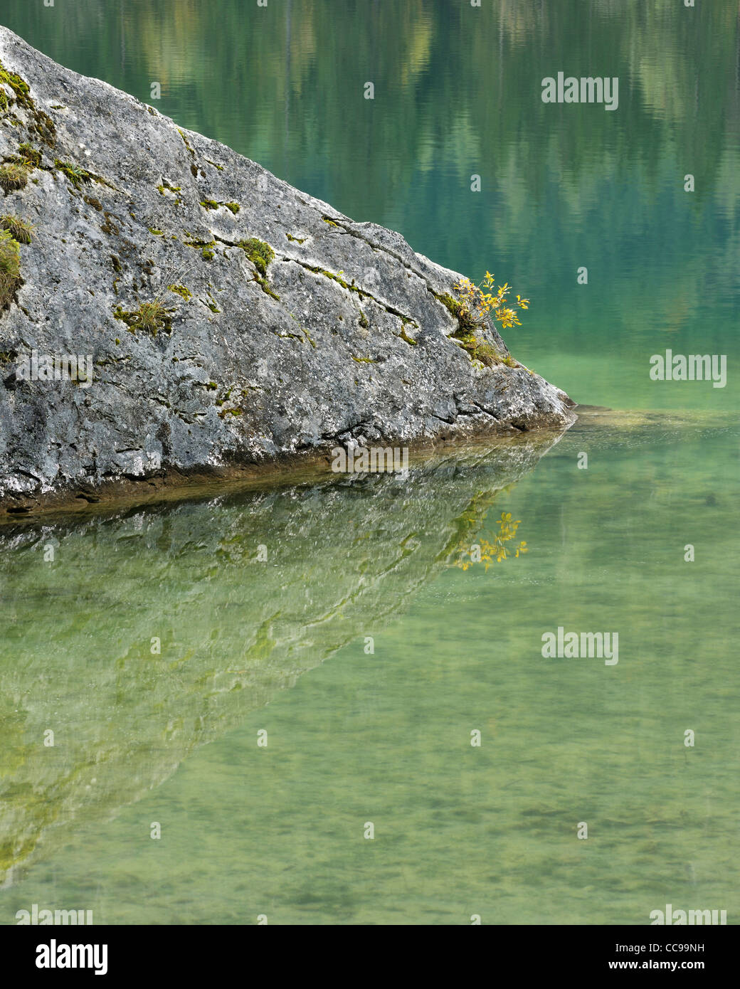 Roccia nel lago Hintersee, Parco Nazionale di Berchtesgaden, Baviera, Germania Foto Stock