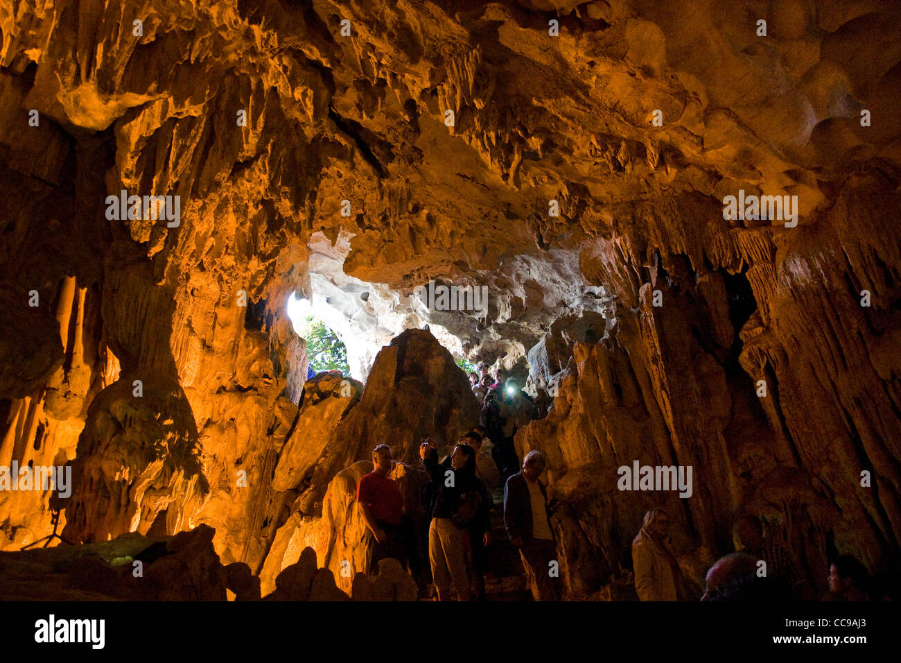 Hang Sung Sot o sorpresa grotte, Bo Hon Isola, Halong Bay, Vietnam Foto Stock