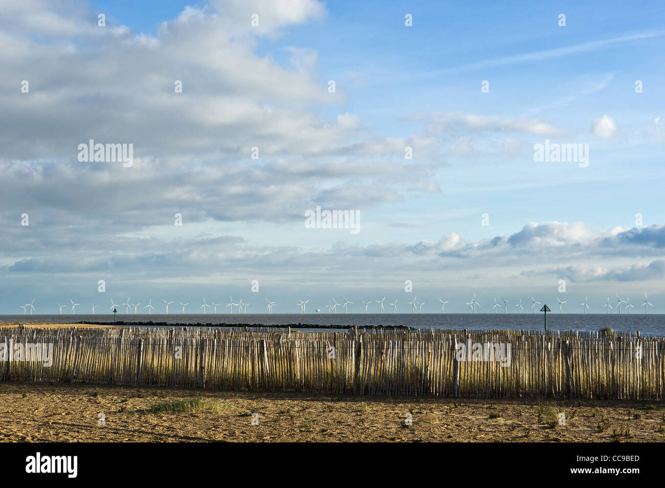 Chestnut paling scherma su una spiaggia sulla costa di Essex Foto Stock