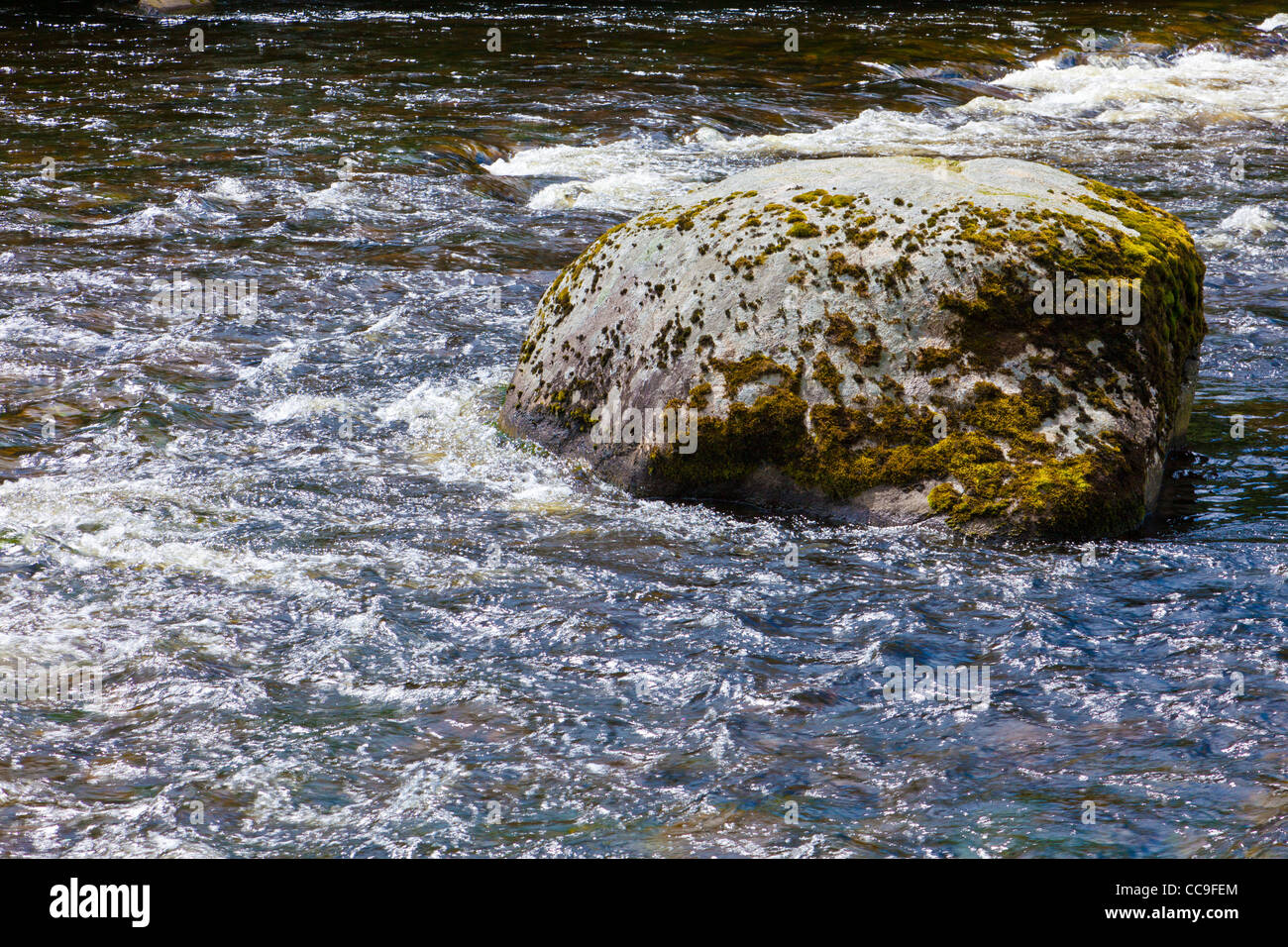 Veloce che scorre acqua e boulder Foto Stock