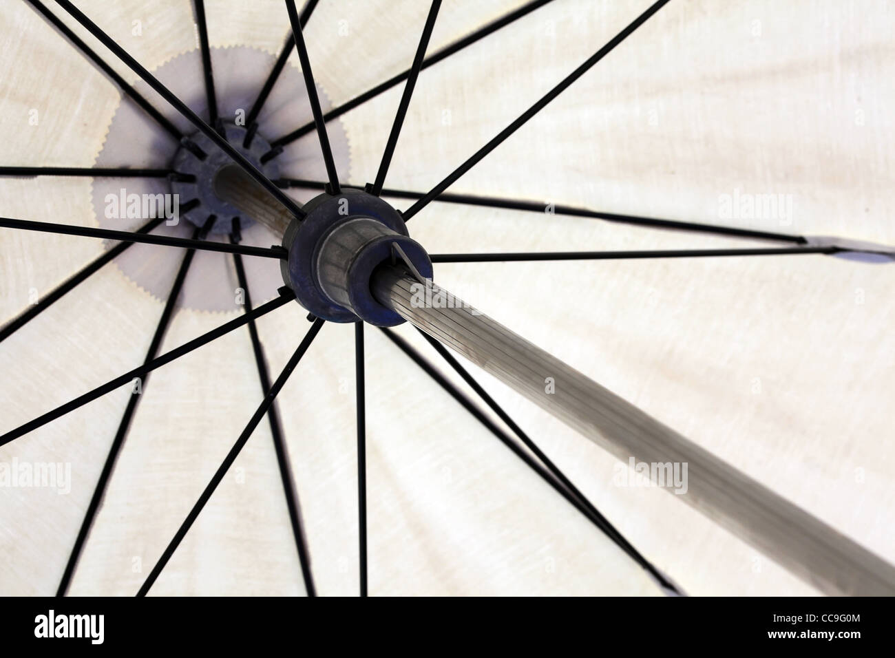 All'interno dell'ombrellone. Close-up. Foto Stock