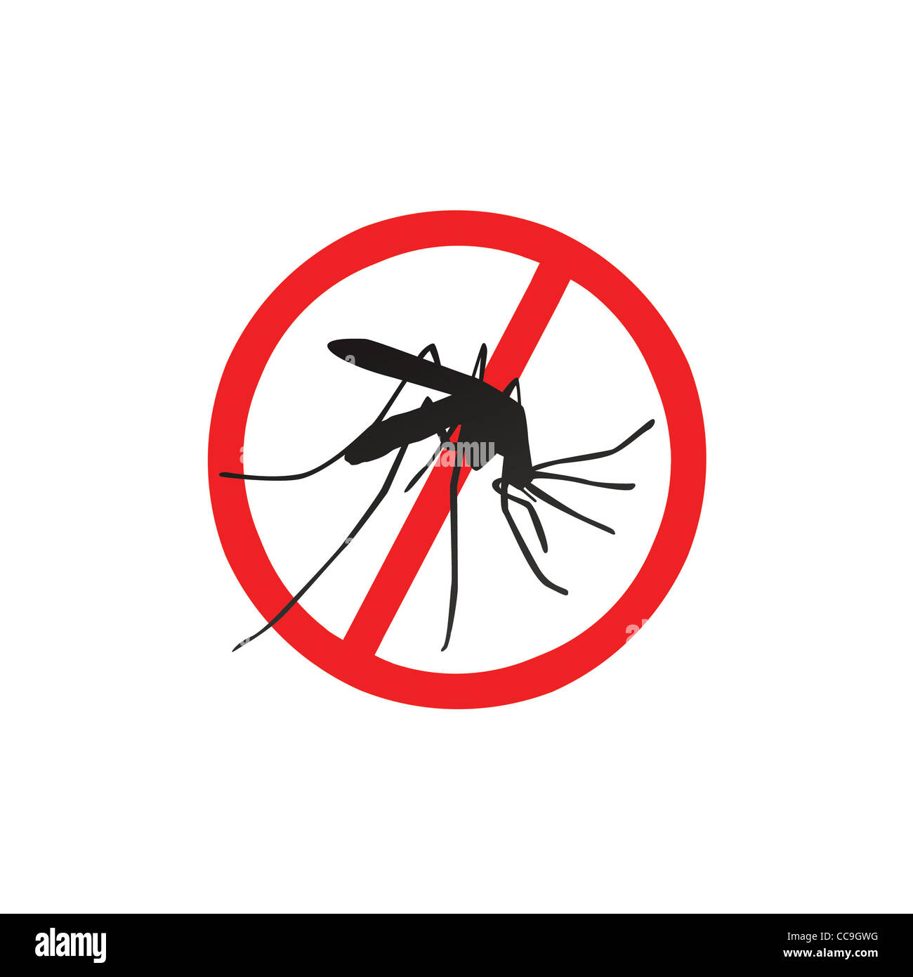 Zanzara Foto Stock