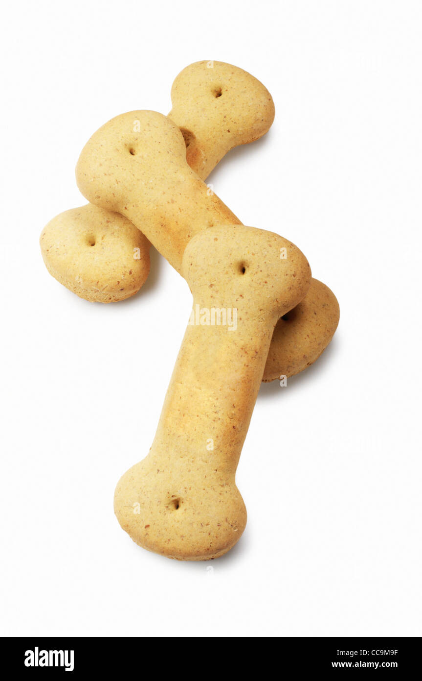 Biscotto cane - Giovanni Gollop Foto Stock