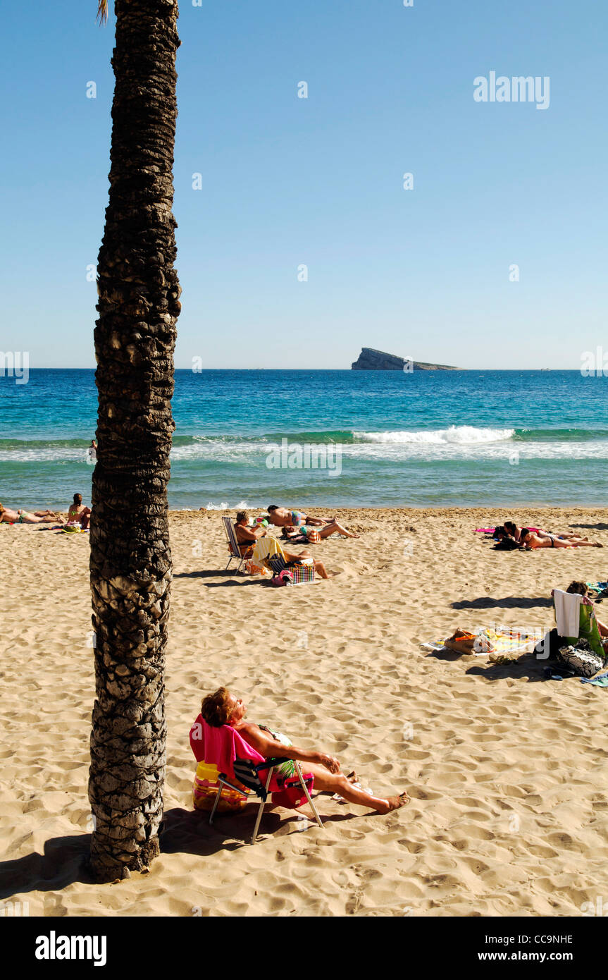 I turisti a prendere il sole sulla spiaggia di Levante in primavera a Benidorm, Spagna Foto Stock