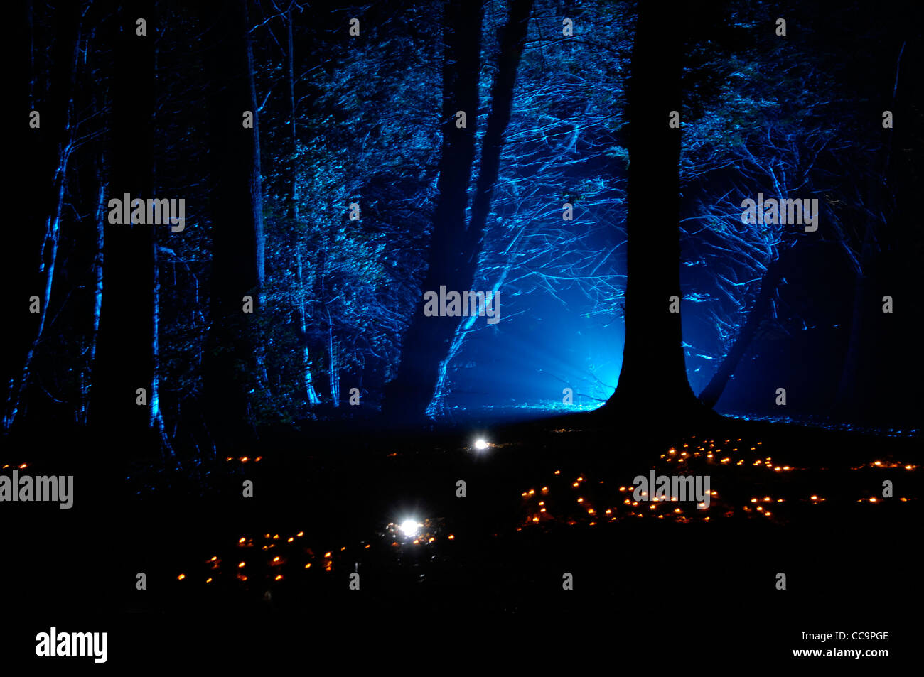 "Natale incantato' dell'evento a Westonbirt Arboretum, GLOUCESTERSHIRE REGNO UNITO Foto Stock