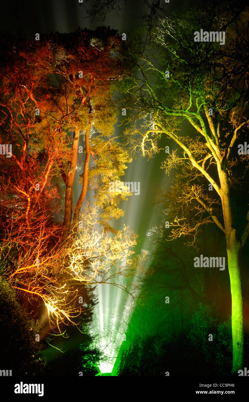 "Natale incantato' dell'evento a Westonbirt Arboretum, GLOUCESTERSHIRE REGNO UNITO Foto Stock