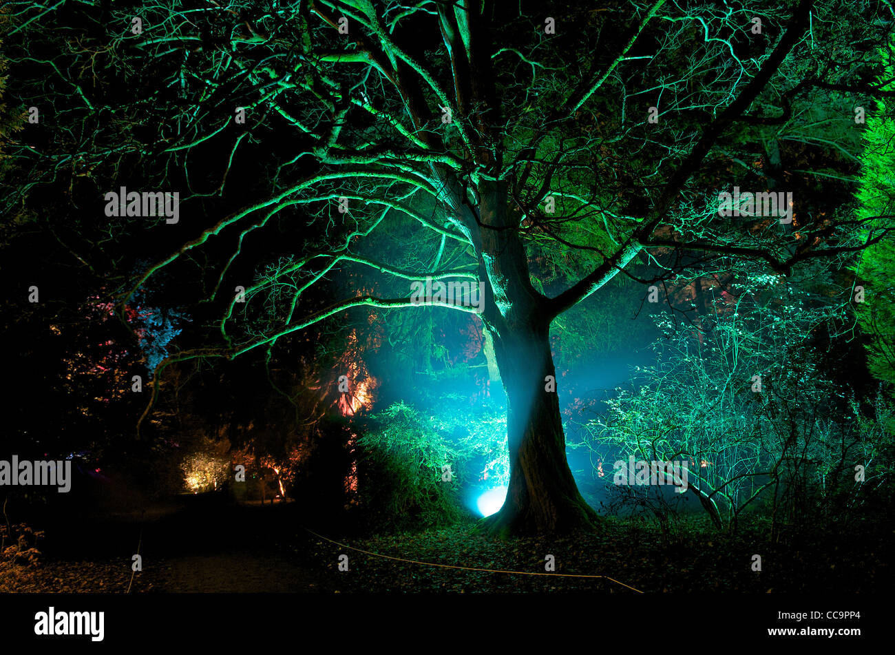 "Natale incantato' dell'evento a Westonbirt Arboretum, GLOUCESTERSHIRE REGNO UNITO Foto Stock