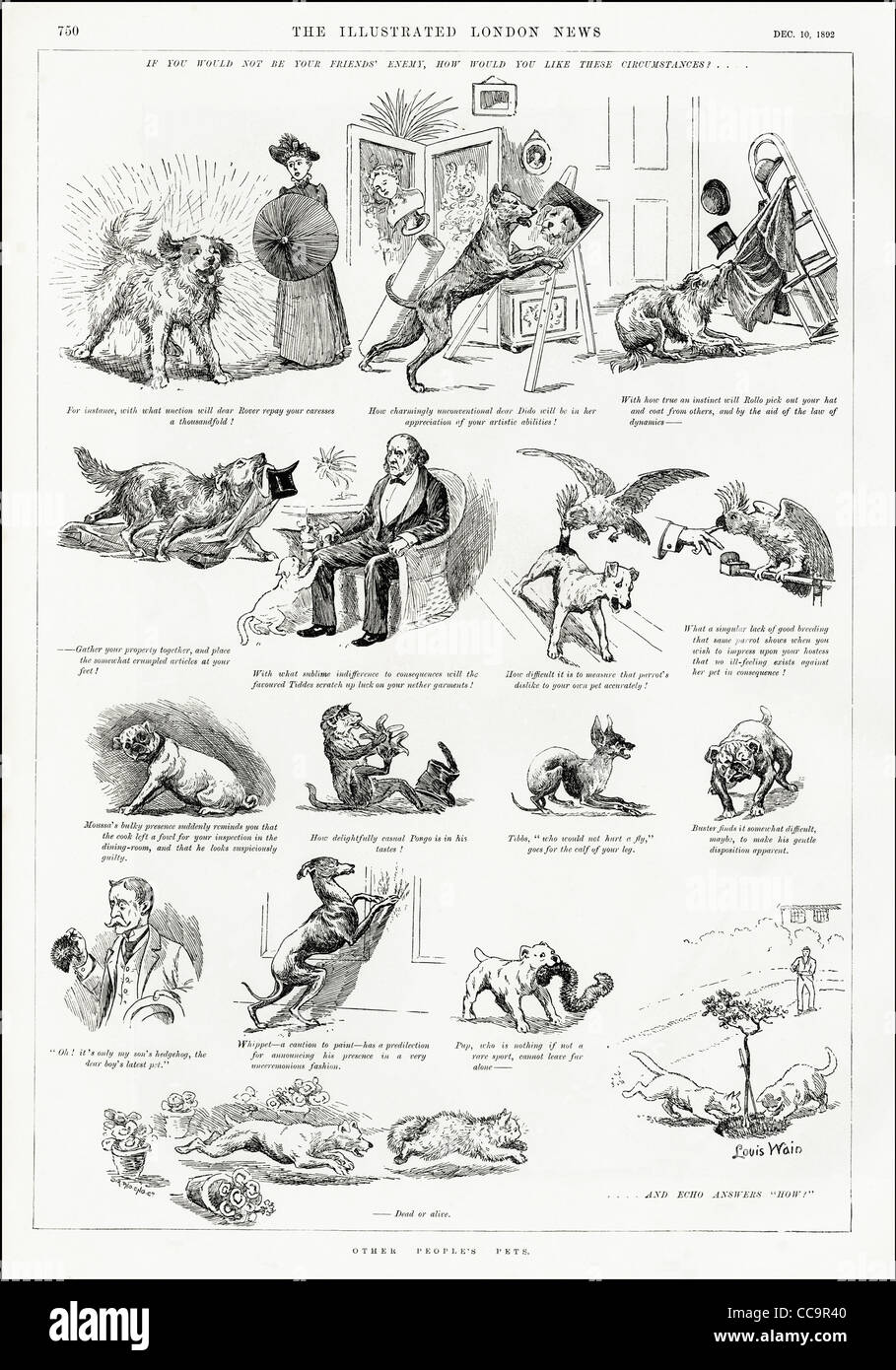 " Altre POPOLAZIONI ANIMALI DOMESTICI" pagina completa illustrazione di Louis Wain datata 10 dicembre 1892 Foto Stock