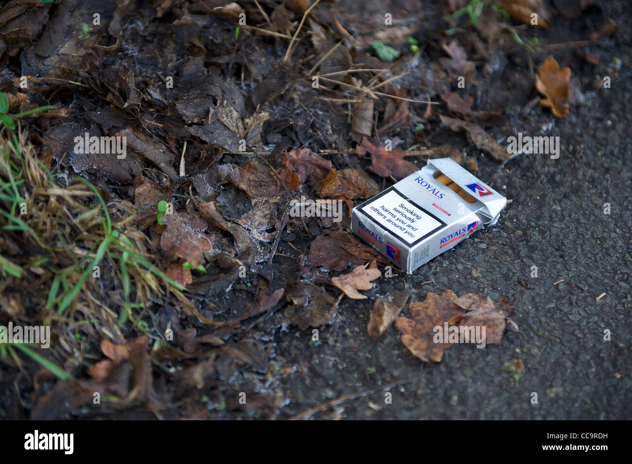 Scartare il pacchetto di sigarette sulla strada vicino a foglie Foto Stock