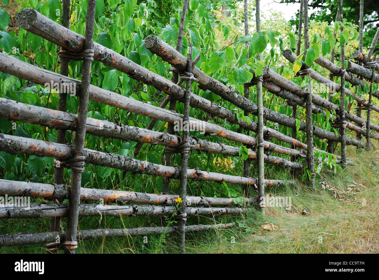Imex Palo Di Legno Acacia A 4 Lati | 175 Cm Acquistare Da - Foto 8