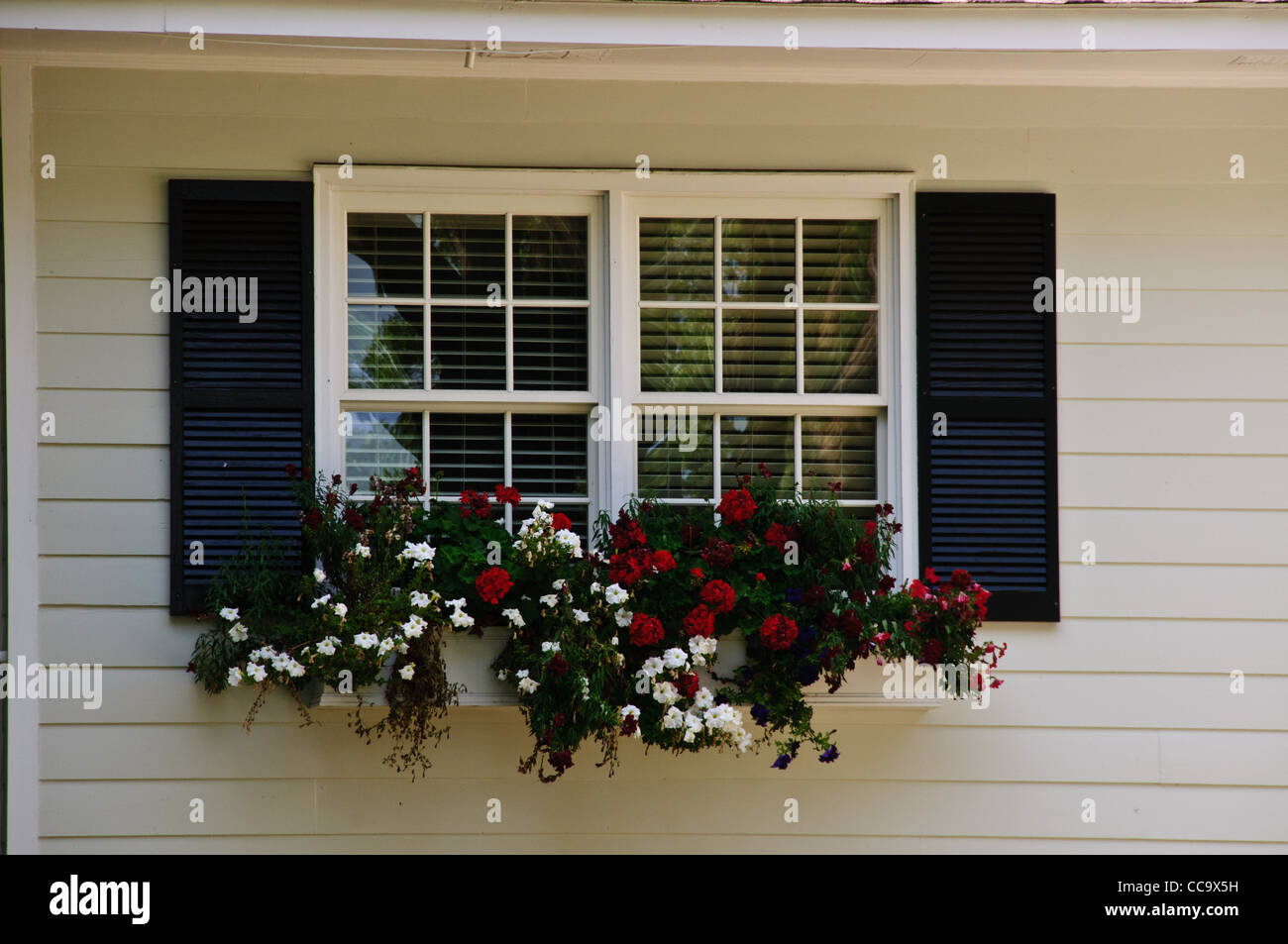 Vetro colorato Box, W. Bluff Drive, Savannah, Georgia Foto Stock