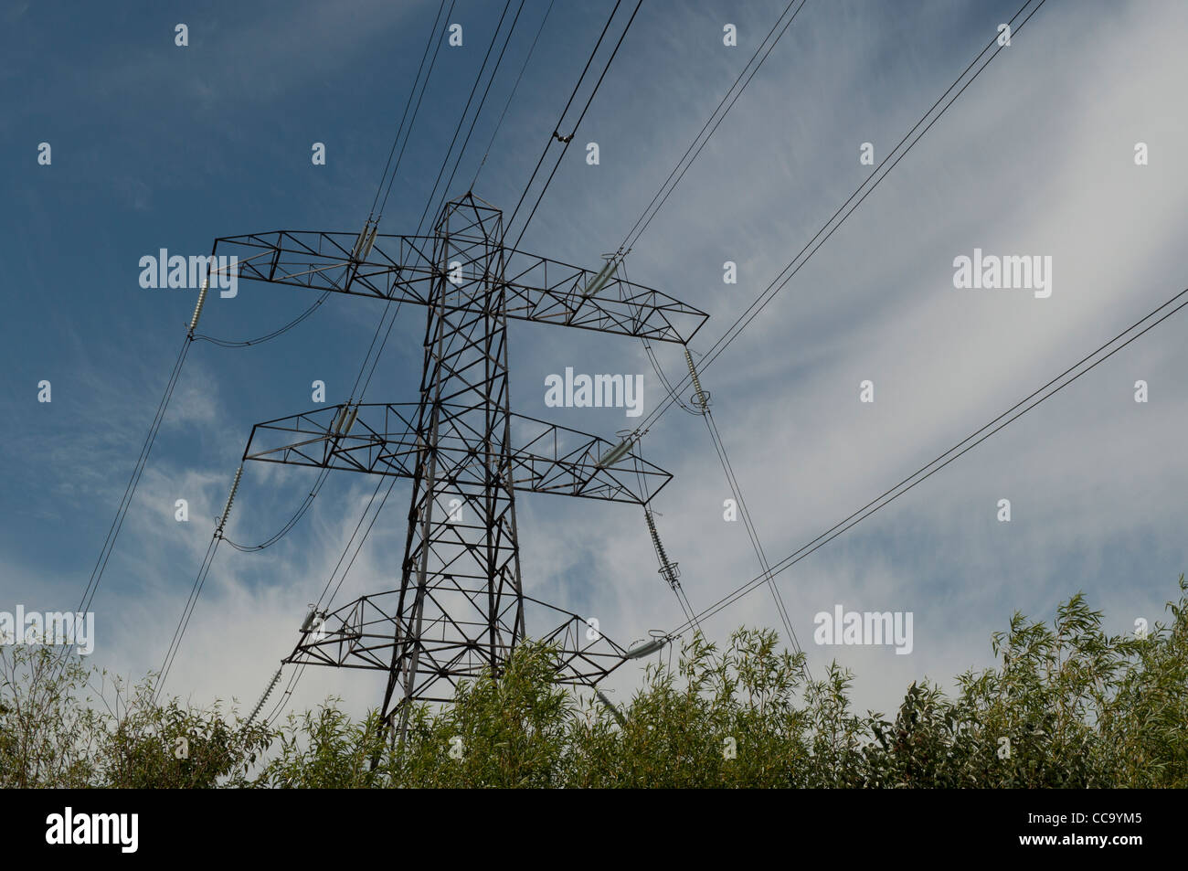 Un pilone torreggia su Tottenham paludi, London, Regno Unito Foto Stock