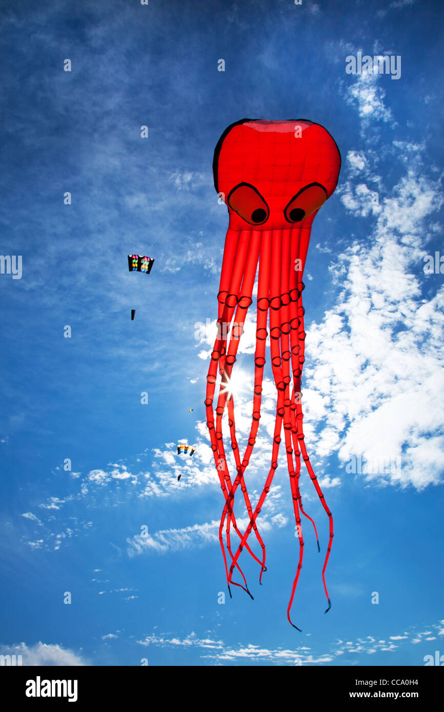 Rosso brillante kite contro un cielo blu. Foto Stock