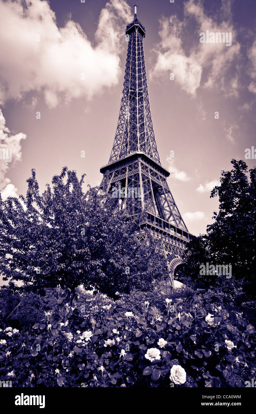La Torre Eiffel e il giardino delle rose, Parigi, Francia Foto Stock