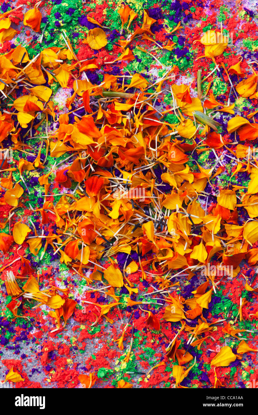 Rangoli festival di polvere colorata design e petali di fiori in un Indiano street. Andhra Pradesh, India Foto Stock