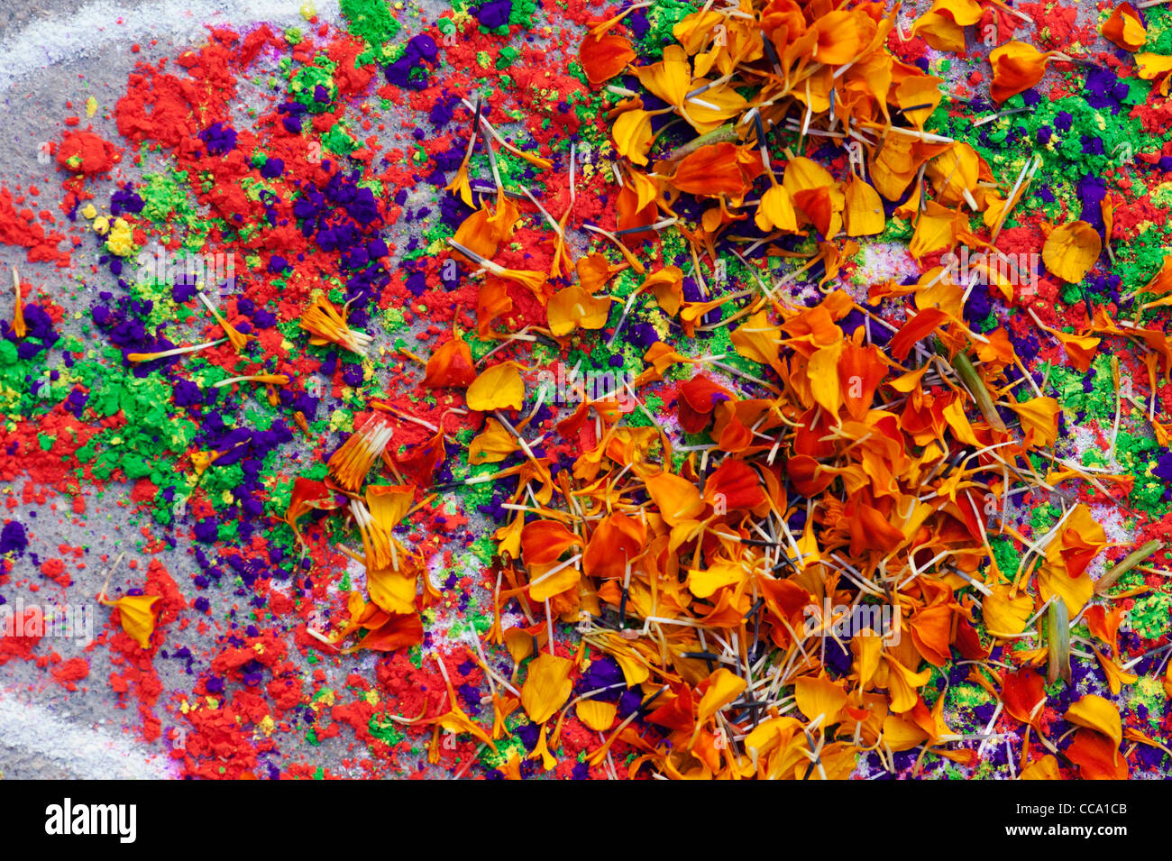 Rangoli festival di polvere colorata design e petali di fiori in un Indiano street. Andhra Pradesh, India Foto Stock