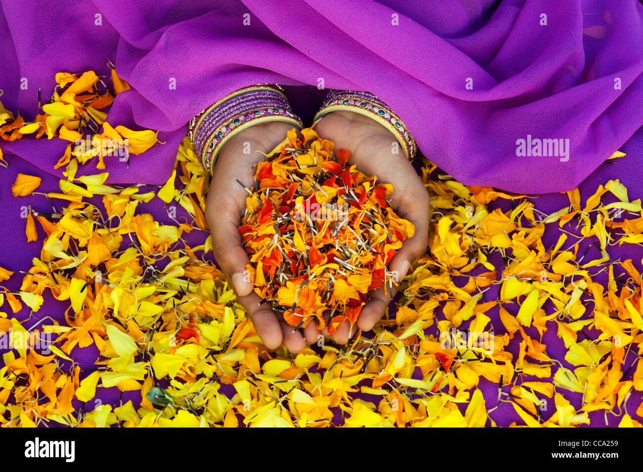 Ragazze indiano mani calendula petali di fiori. Andhra Pradesh, India Foto Stock