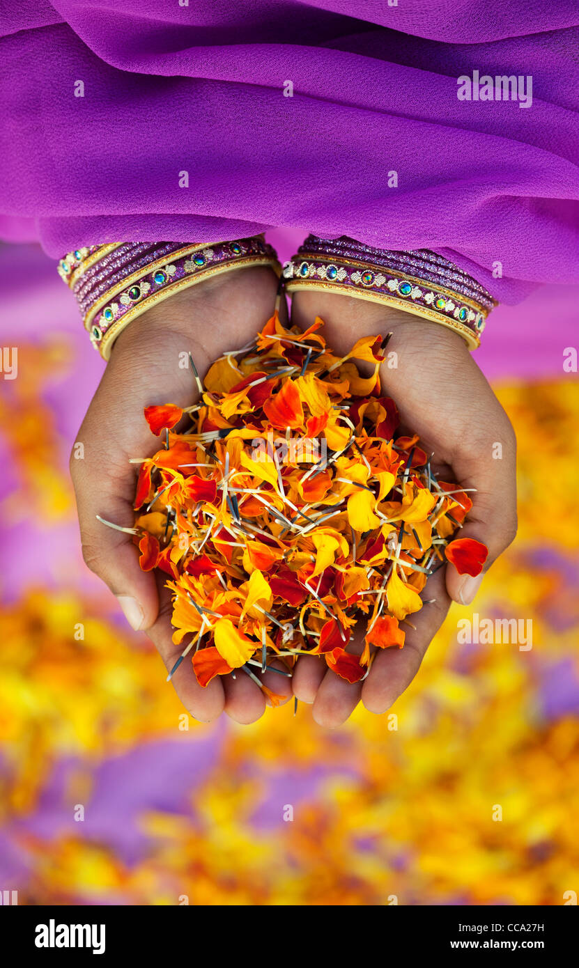 Ragazze indiano mani calendula petali di fiori. Andhra Pradesh, India Foto Stock