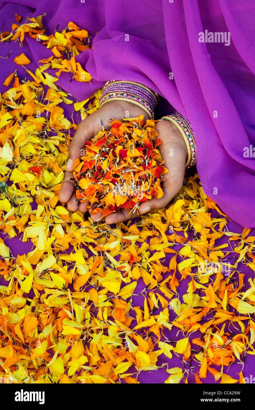 Ragazze indiano mani calendula petali di fiori. Andhra Pradesh, India Foto Stock