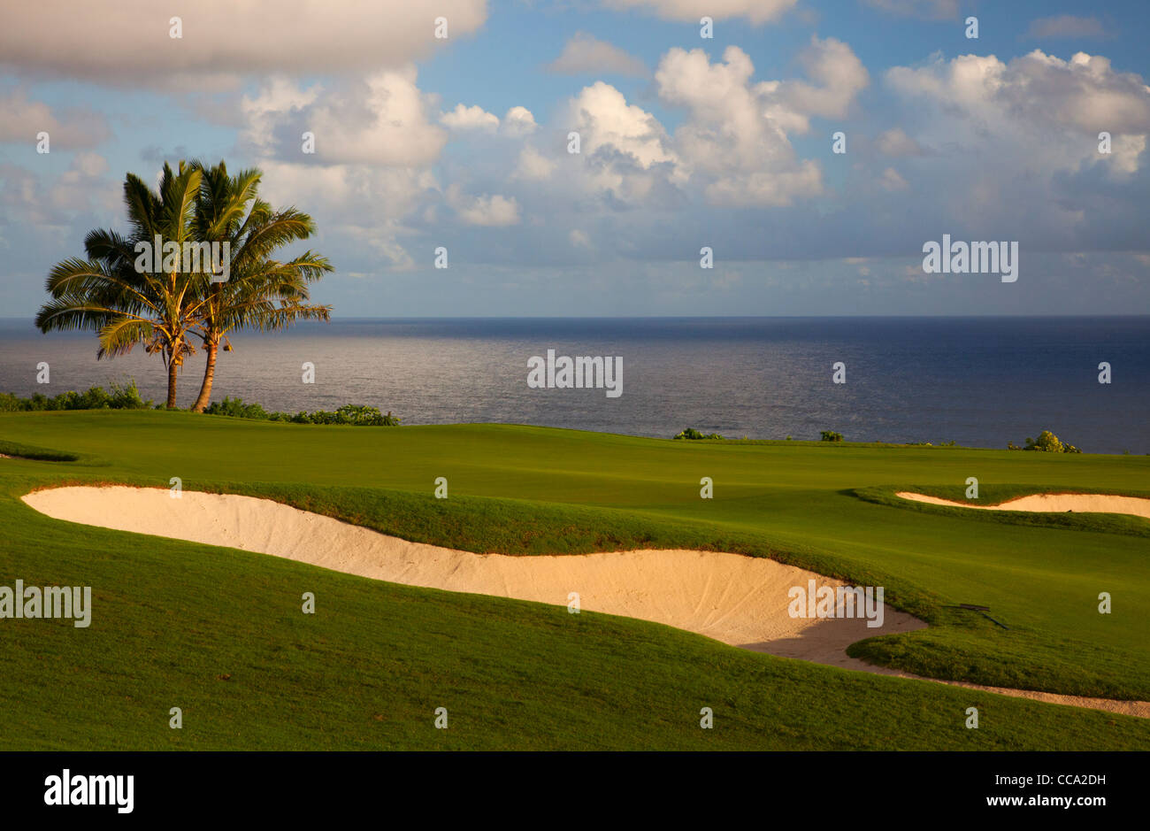 Il XIV foro al Makai Golf, Princeville, Kauai, Hawaii. Foto Stock