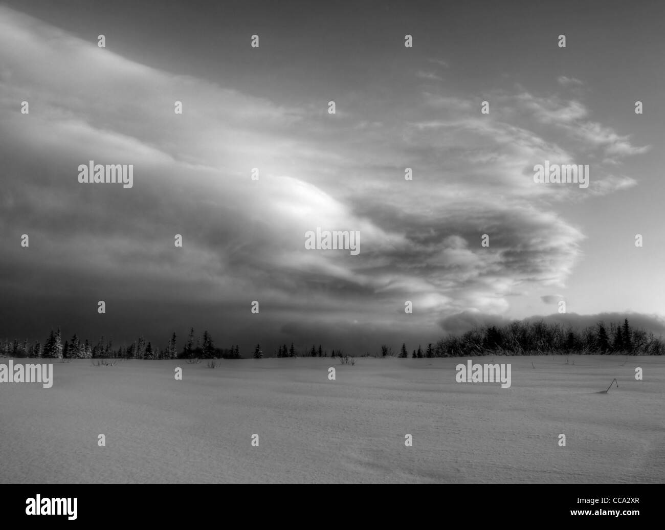 Grande cloud battente sull'orizzonte in inverno con neve e abeti in bianco e nero. Foto Stock