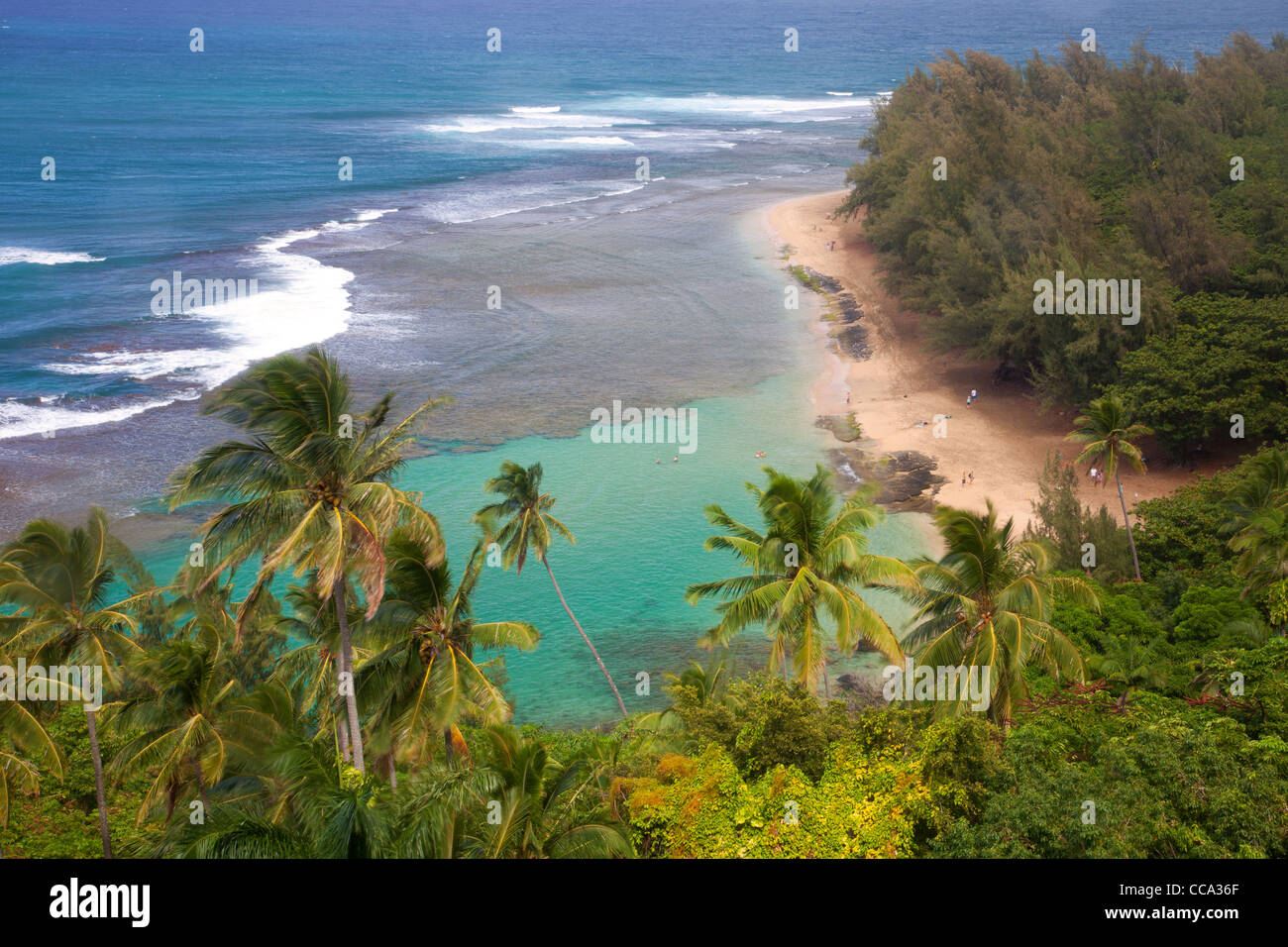 Ke"e la spiaggia e la costa di Na Pali dal Kalalau Trail, Kauai, Hawaii. Foto Stock