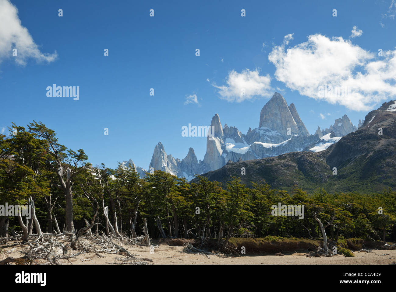 Giorni di trekking fino a viste del monte Fitz Roy. Foto Stock Giorni di trekking fino a viste del monte Fitz Roy. Foto Stock