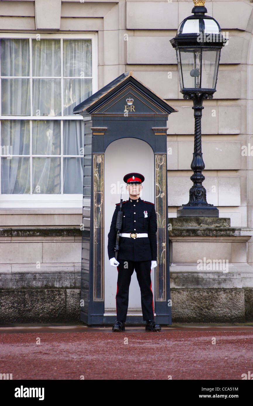 Un soldato della Principessa di Galles del reggimento reale di sentinella con SA-80 fucile e baionetta fissa, Buckingham Palace, London Foto Stock