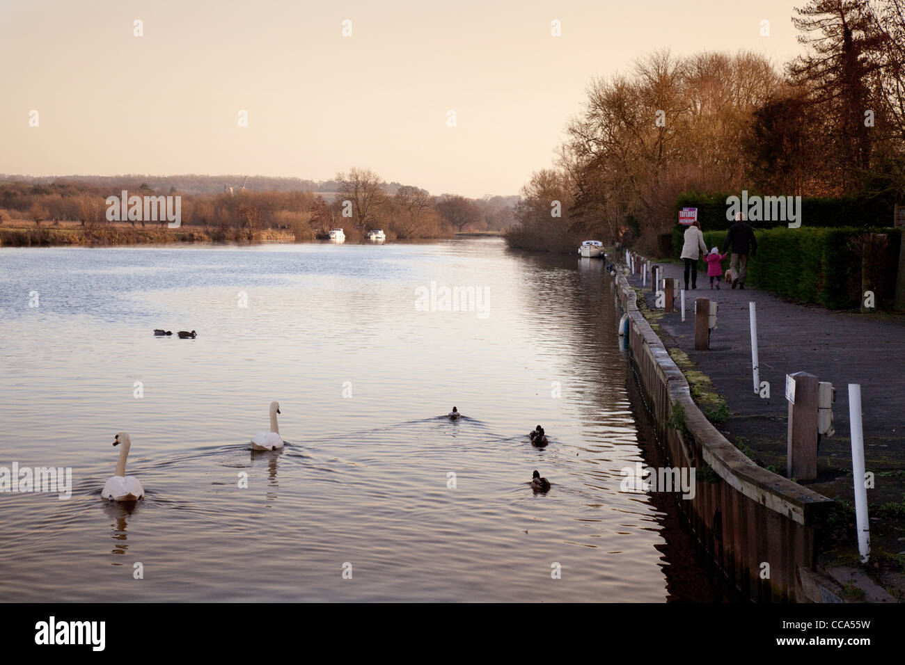 L'alzaia sul fiume Thames Path a Moulsford, Oxfordshire, Regno Unito Foto Stock
