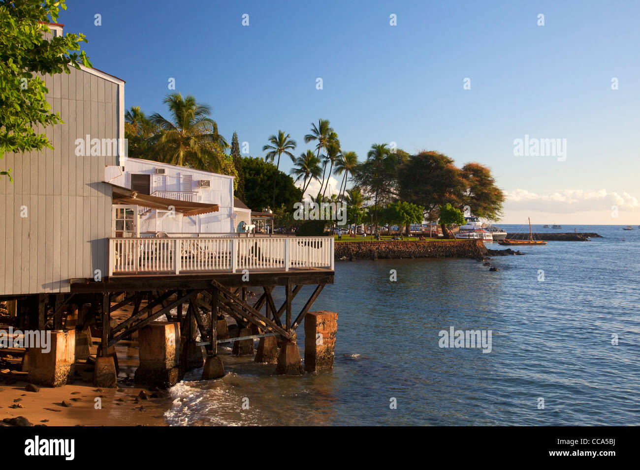 Lahaina, Maui, Hawaii. Foto Stock