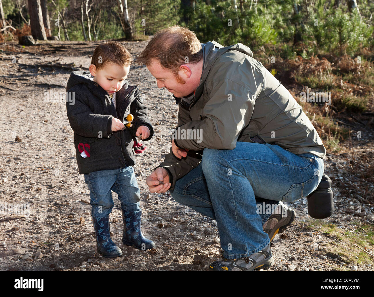 Padre e figlio giocando, mostrando e imparare insieme nella nuova foresta Foto Stock