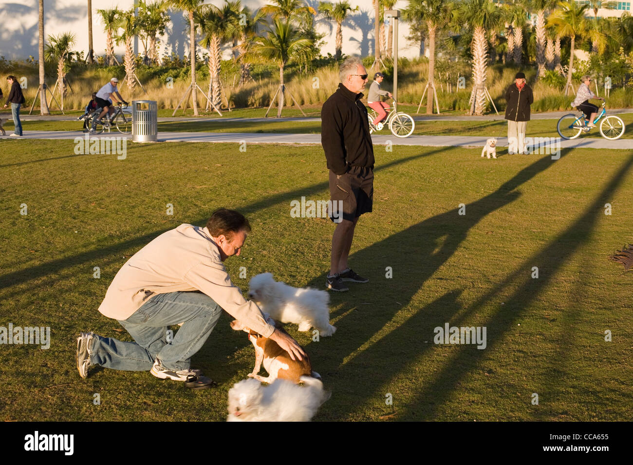 La gente camminare i loro cani in South Pointe Park South Beach di Miami Foto Stock